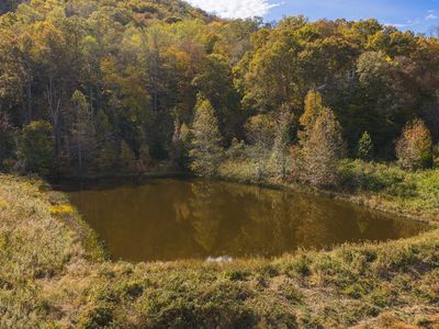 684 Panther Rd, Blackwater, VA, 24221