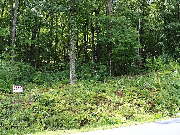 Wooded mountain Lot 89