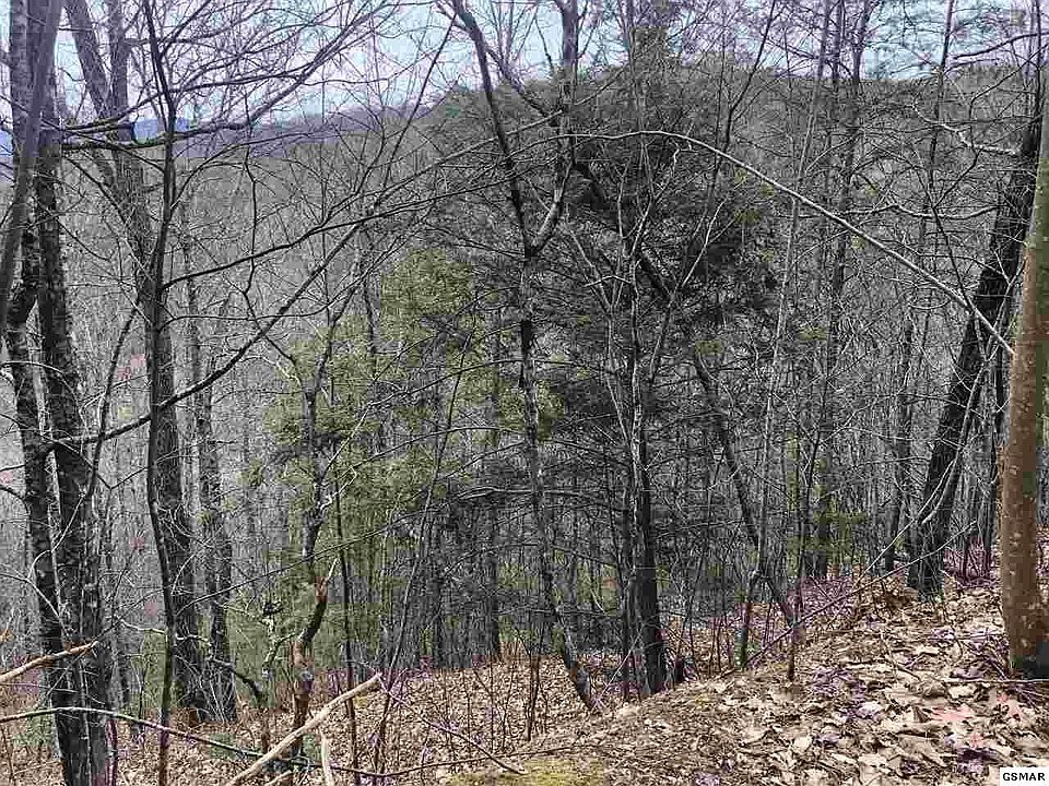 2nd image of 0 B J Belk Way Lot Tr11