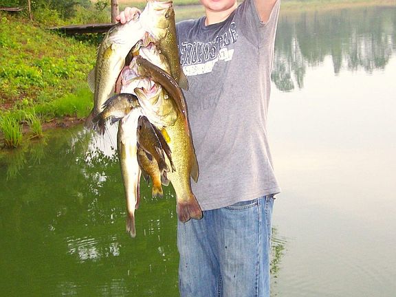 12 yr old grandson caught these bass in lake