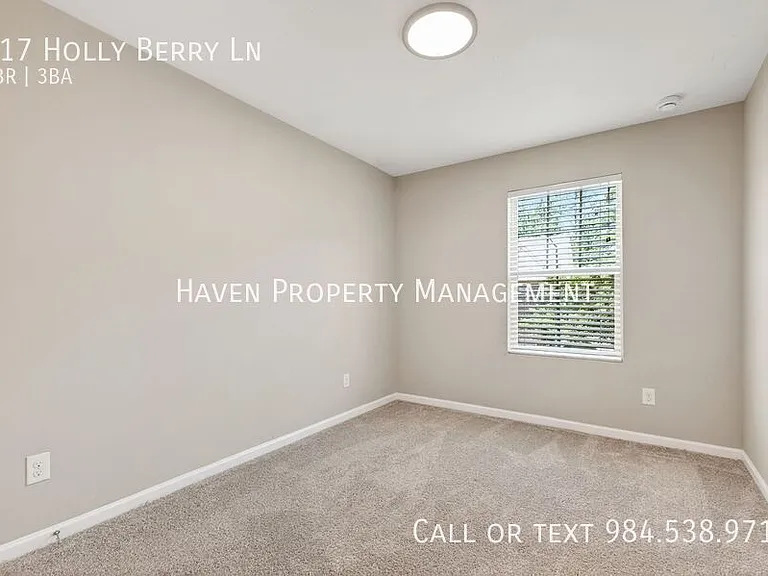 117 Holly Berry Ln — Photo 25