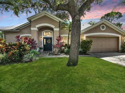 10515 Chambers Dr, Tampa, FL, 33626