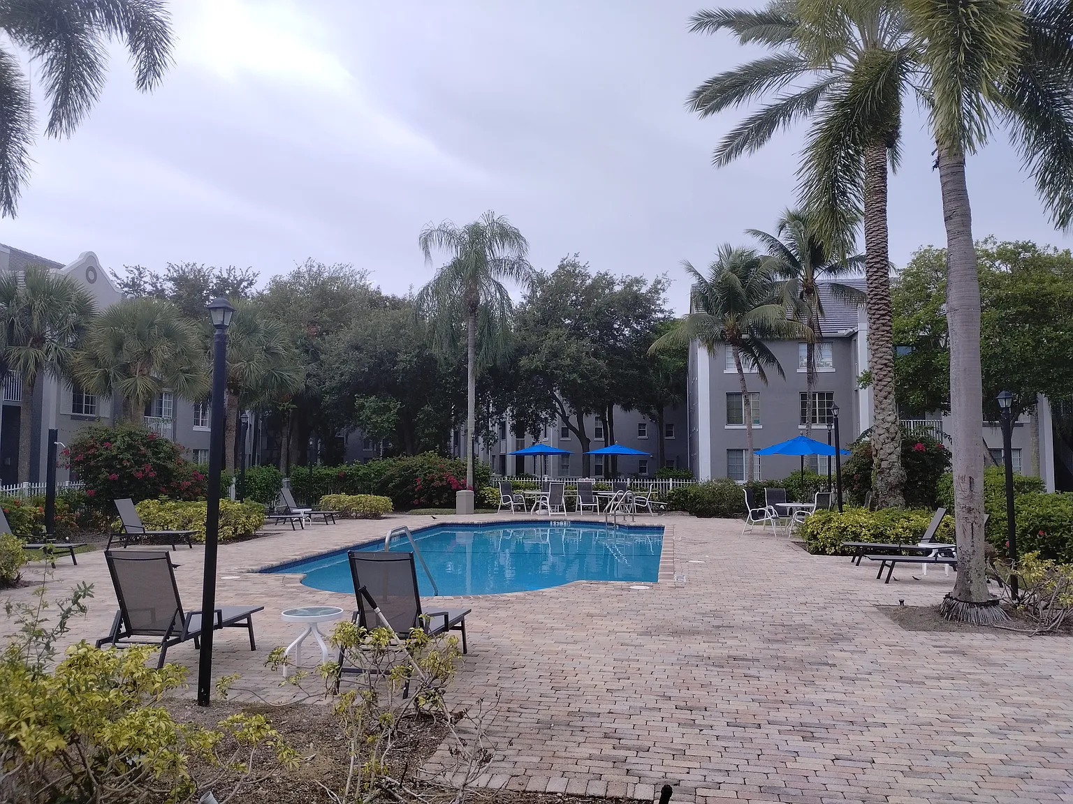 1 bed, 820 sqft, $1,910 — Photo 2