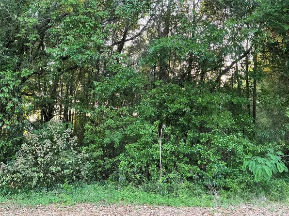 0 Pine Trace Crse Lot 11, Ocala, FL 34472