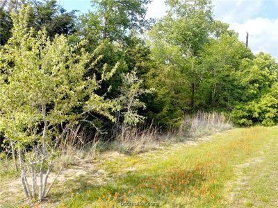 Lots 188 189 White Oak St, Somerville, TX, 77879
