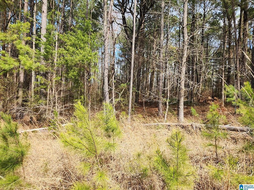 1st image of 0 Red Hill School Rd #3.6 ACRES