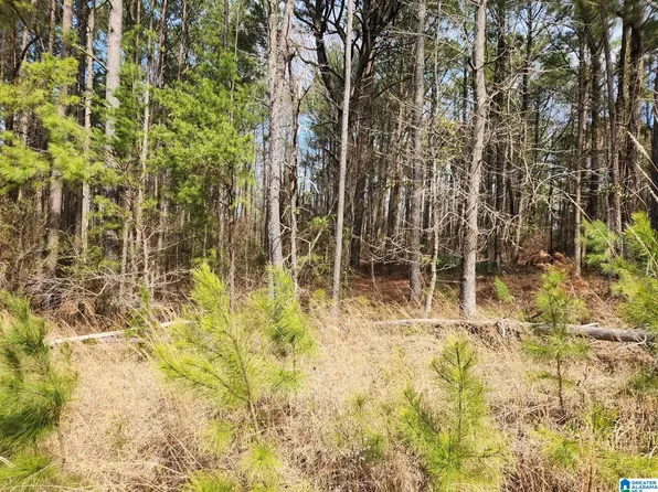 0 Red Hill School Rd #3.6 ACRES, Empire, AL 35063