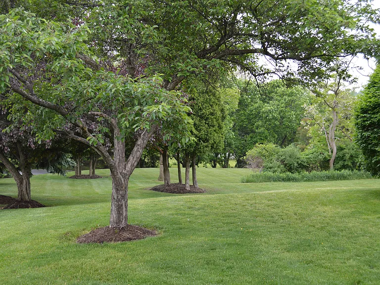 Grounds_05202018