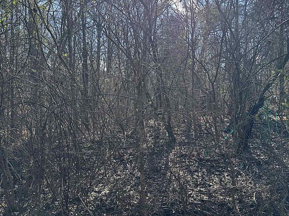4th image of 0 Mazurek Cir