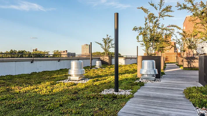 Rented by Nooklyn NYC LLC | media 80