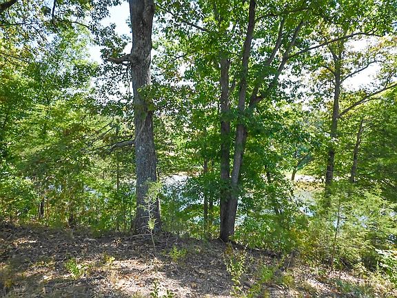 4th image of 0 N Fork Village Rd