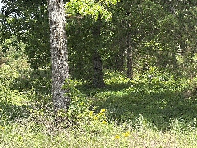 2nd image of 0 S Fortyeight Rd