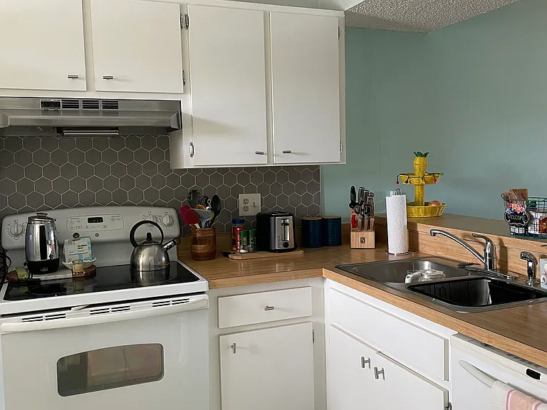 420 Cerromar Ct — Photo 3
