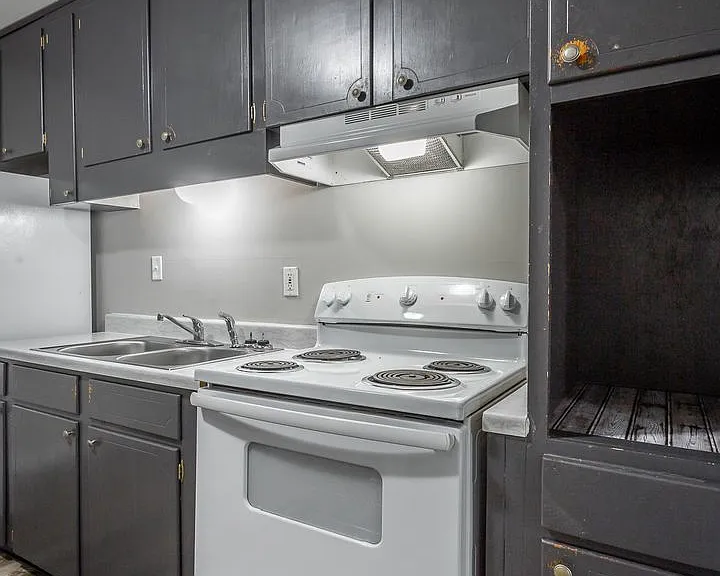 4711 Murray Lake Ln — Photo 9