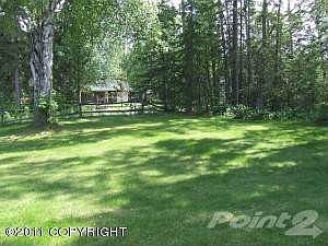 More of the front yard