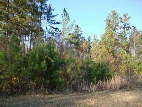 3rd image of 1274 Highway 56