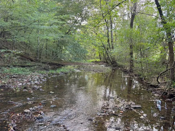 0 Blowingsprings Rd, Waynesboro, TN 38485