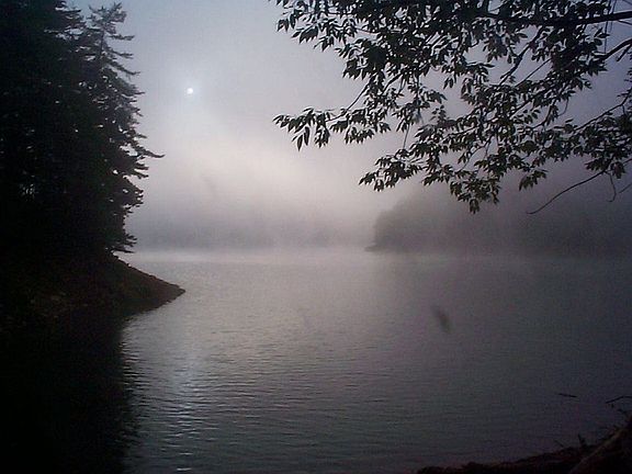 Early morning cove