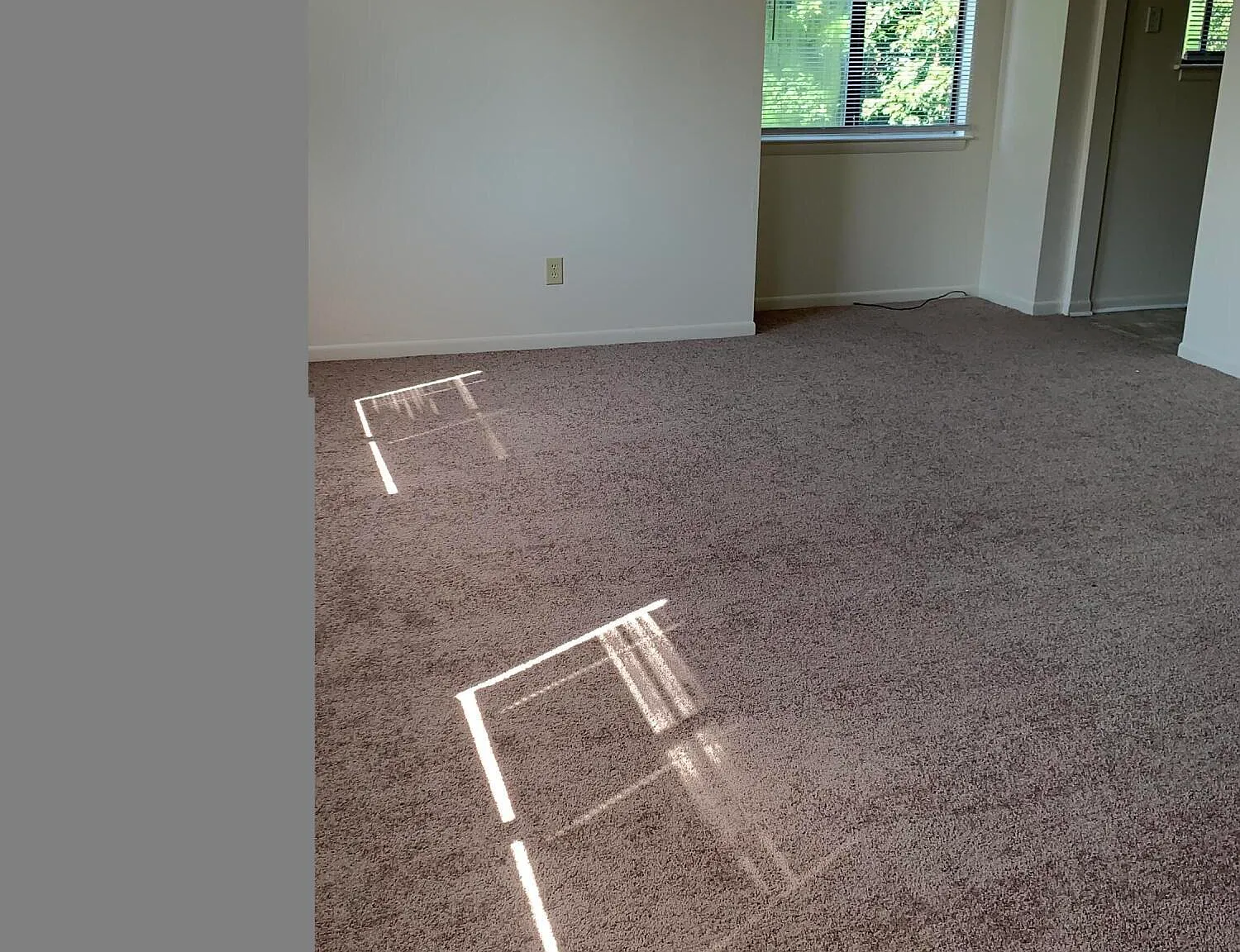 2 bed, 1.0 bath, $975 — Photo 4