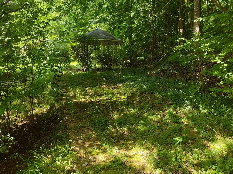 Gazebo and back yard