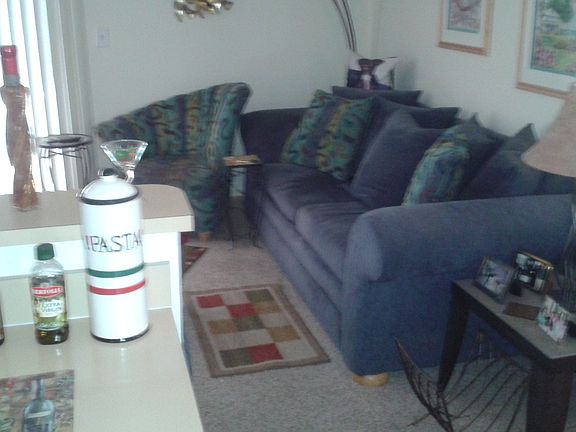 3rd image of 266 Overstreet Ct