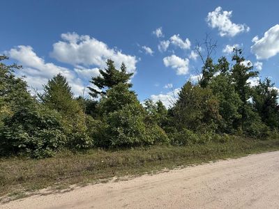 E Cook St, Idlewild, MI, 49642