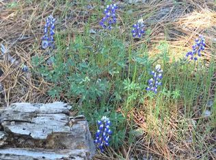 12054 Breckenridge Rd, Groveland, CA 95321