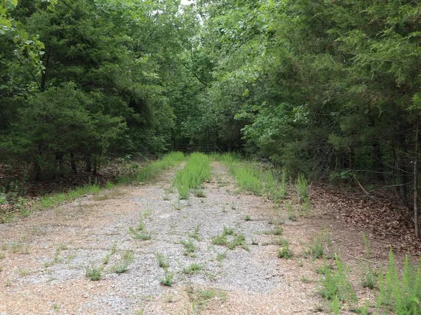 Wynona Rd, Ash Flat, AR 72513