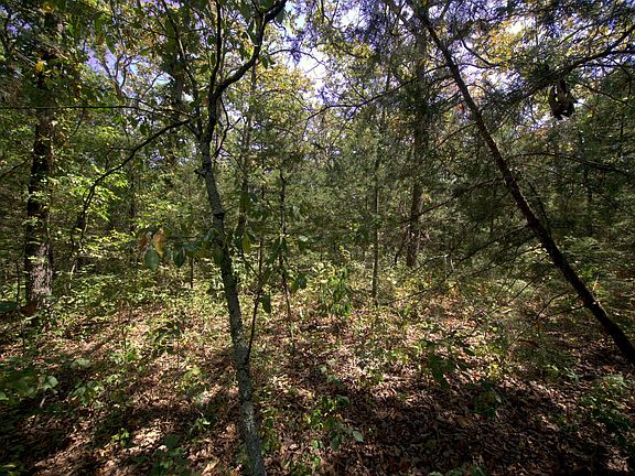 4th image of Tract 4 Simpson Rd