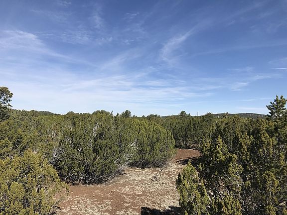 5th image of LOT 4 Elk Rdg #U1-lot Acr3099