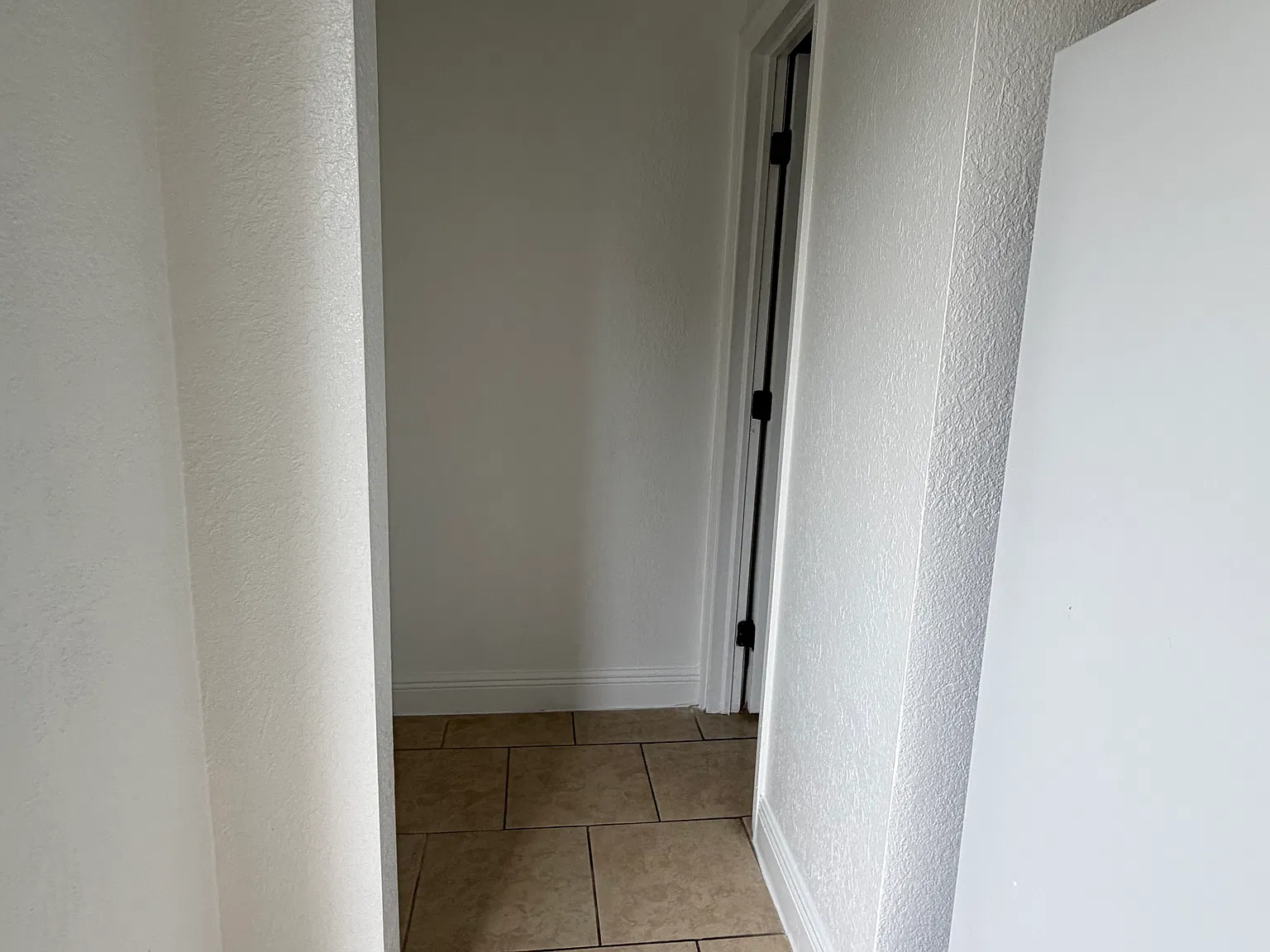 1 bed, 600 sqft, $800 — Photo 3