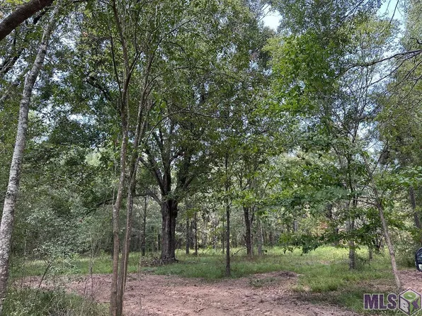 12615 Gurney Rd, Baton Rouge, LA 70818
