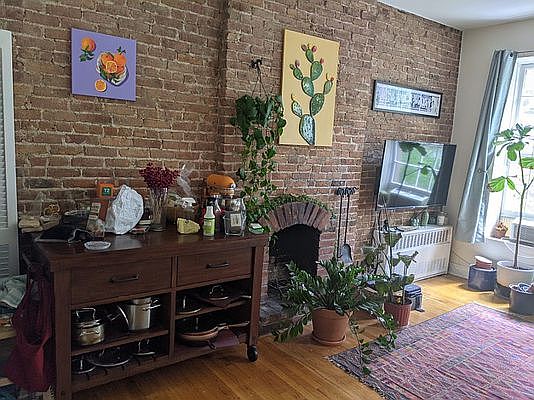 4th image of 117 W 87th St APT 3