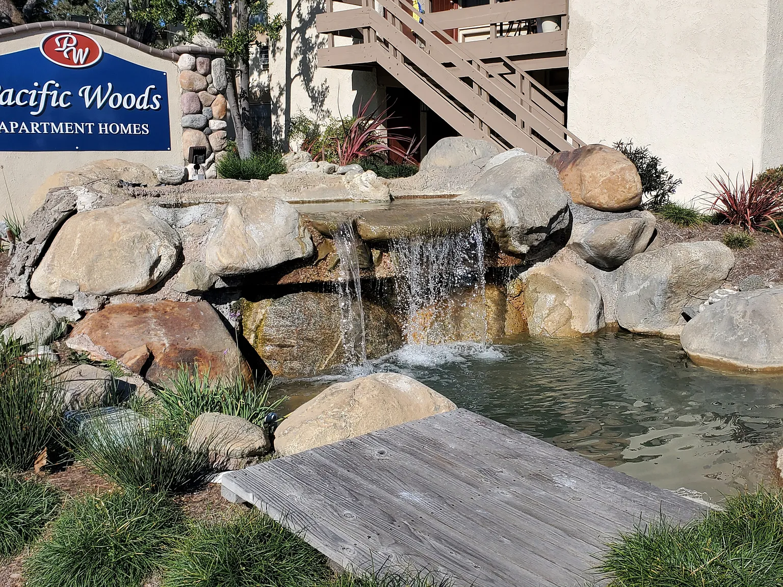 Pacific Woods — Photo 1