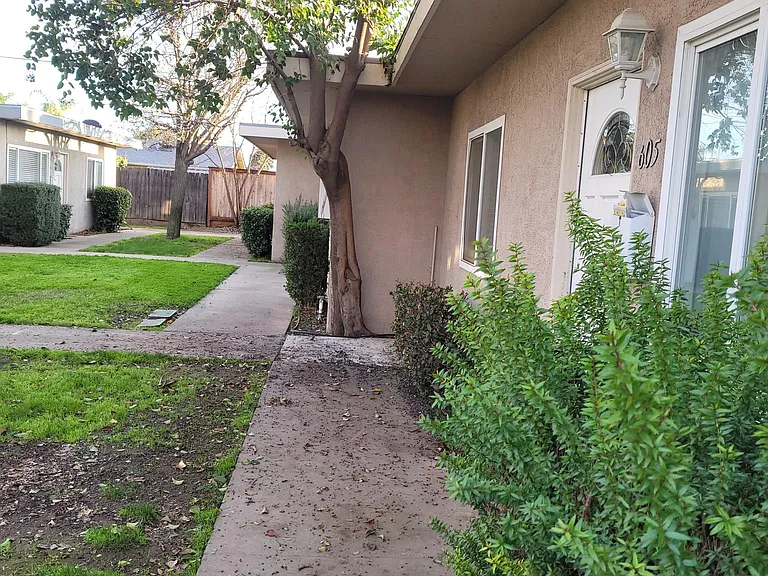 Front yard and walkway