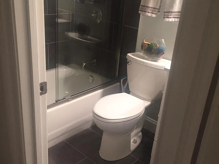 Guest bathroom