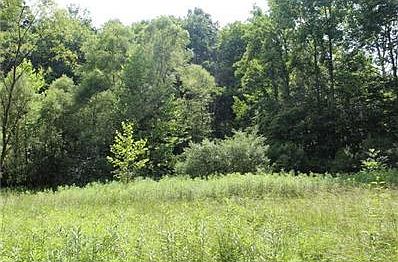 Land/Lot.