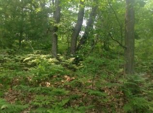 S 48th Ave, Shelby, MI 49455