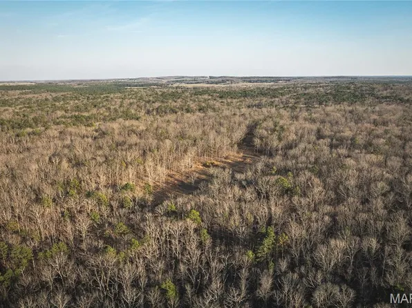 0 Highway Bb, Licking, MO 65542