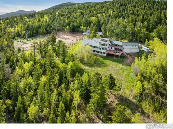 4890 Magnolia Dr, Nederland, CO 80466