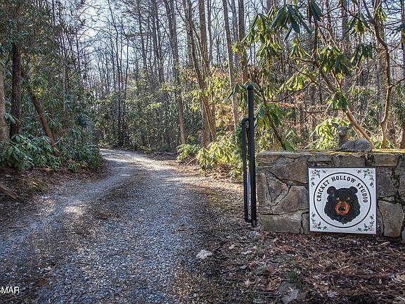 3rd image of 125 Cricket Hollow Way