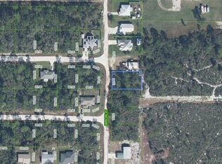 1316 Barn Owl St, Sebring, FL 33870