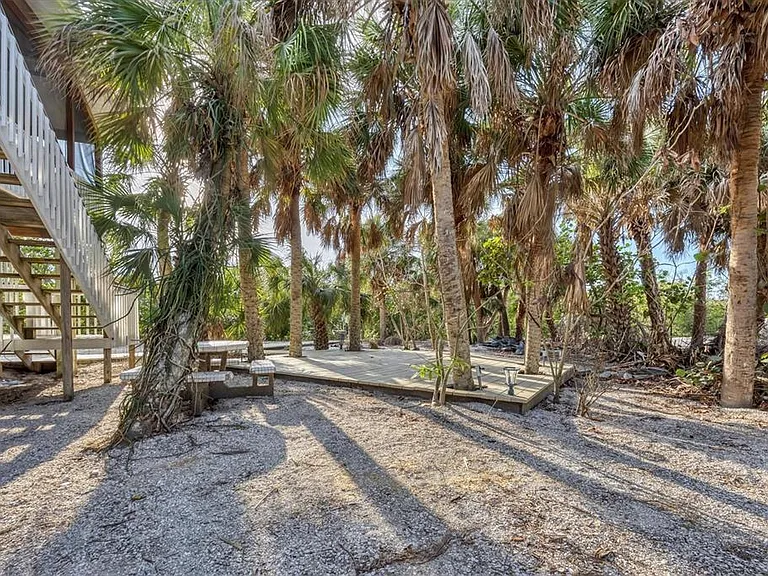 51 Palm Dr — Photo 6