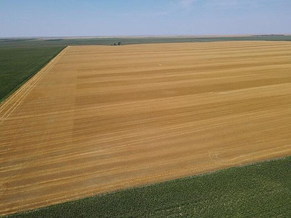 3rd image of Dakota St #1804