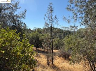 2390 Butte Mountain Rd, Murphys, CA 95247