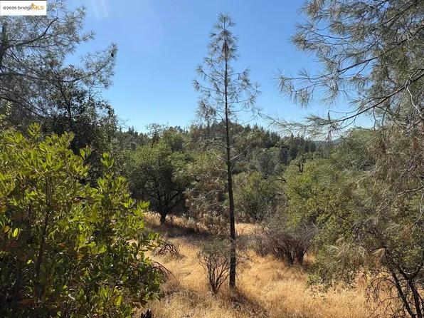 2390 Butte Mountain Rd, Murphys, CA 95247