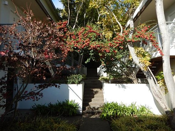 2nd image of 105 Belvedere Dr #2