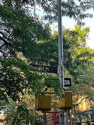 Rented by Corcoran | media 7