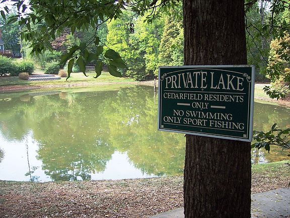 Enjoy the private fishing lake or the community pool