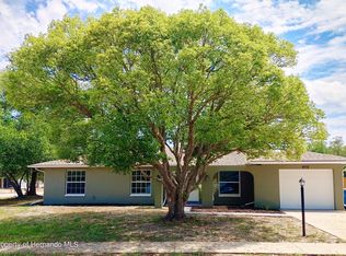 4518 Lakeshore Ave, Spring Hill, FL 34606